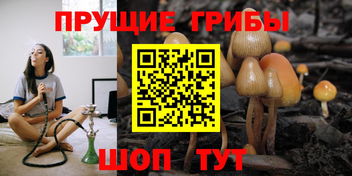 Красноярск  Псилоцибиновые грибы Magic Shrooms  Вход с VPN 